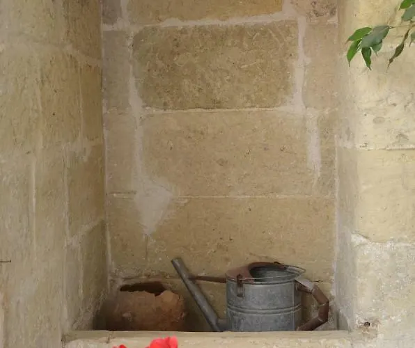 Lacurte מרטאנו